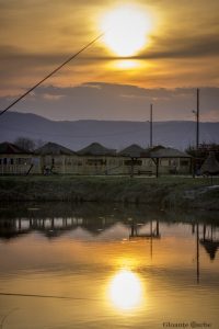 IMG_9394