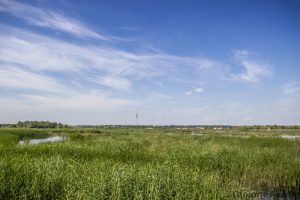 IMG_3233