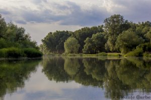 IMG_3368
