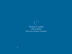 Windows 10 (8)