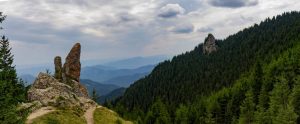 IMG_5359-Pano