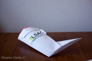 IMG_8404
